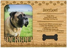 Boerboel Engraved Wood Picture Frame Magnet