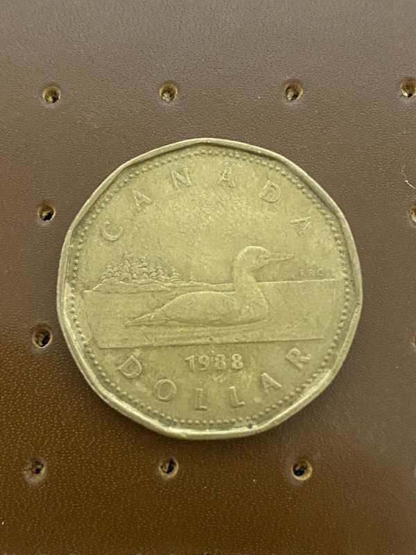 ONE 1988 Canadian Loonie Dollar $1 - Collection item. 