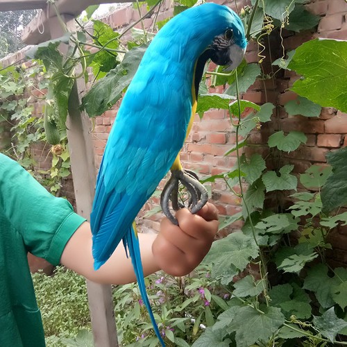 big simulation blue parrot model foam&feather new parrot doll about 45cm - Picture 2 of 4