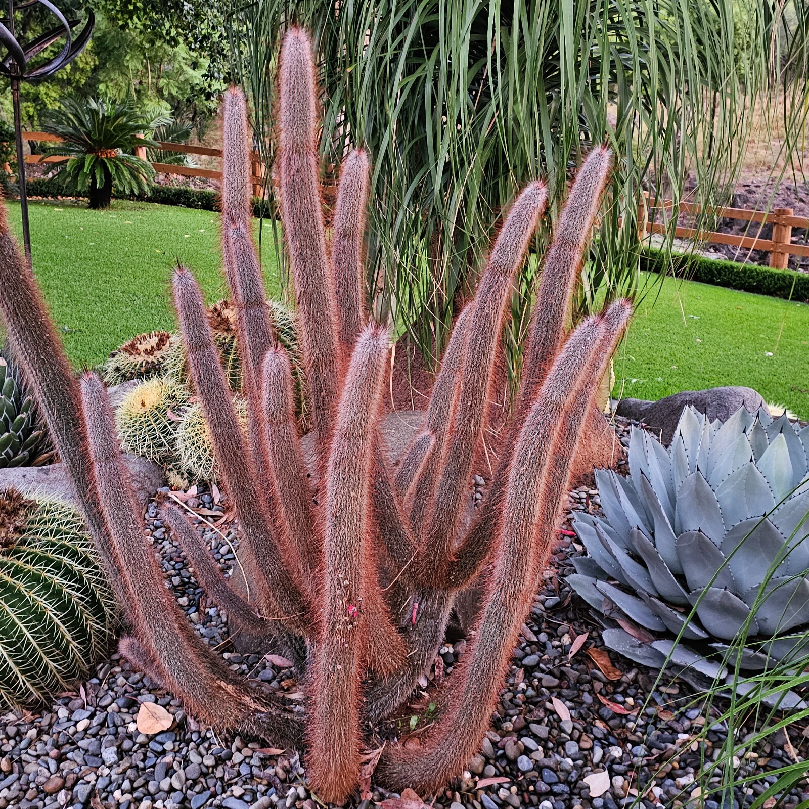 Picture 6 of 8