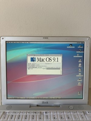 APPLE iBOOK G3 SNOW MODEL M6497 DVD ROM/CDRW 12.1