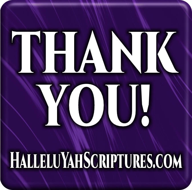 Bible BIBLE BIBLE PU Leather HalleluYah Scriptures & Extra 2 Books - Image 2 of 4