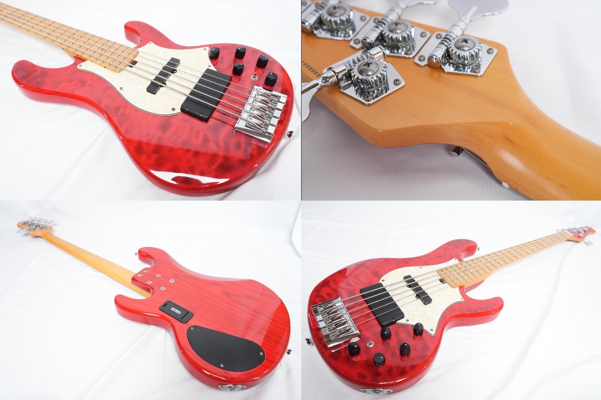 Grass Roots by ESP G-T-80-BD 5-string bass guitar, L'Arc~en~Ciel