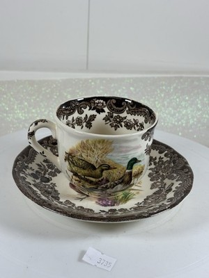 Palissy Royal Worcester Group Spielserie Tasse & Untertasse