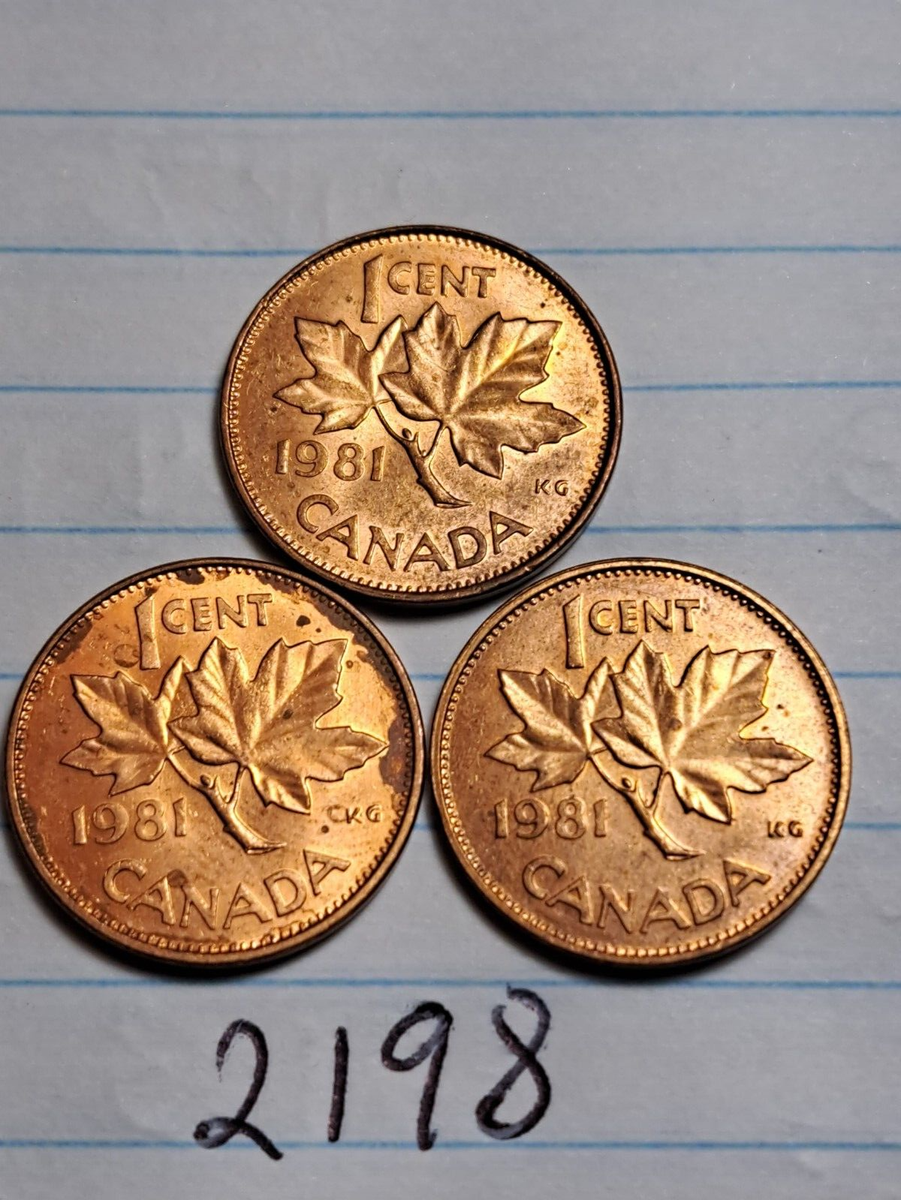 penny様【色無地】1ッ紋付き色無地　白茶色　トールサイズ　8E-003 1981 CANADA 1 CENT PENNY LOT OF 3 ITEM#2198 EXACT COINS SHOWN | eBay
