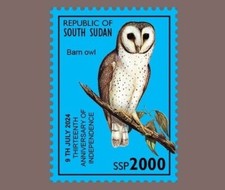 SELLO DE SUDÁN DEL SUR 2024 1V SSP 2000 - AVES PÁJARO - BÚHOS GRANERO - MNH