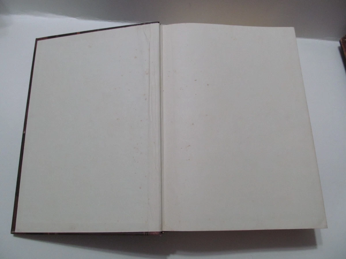 LE RICETTE REGIONALI ITALIANE By Anna Gosetti Della Salda First