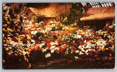 Postcard - Rustic Garden, Fall Flower Show, Phipps Conservatory, Pittsburgh, Pa