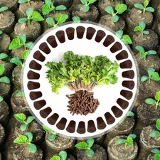 30 Stück Anzuchtschwämme, ideal als Ersatz für Erde für Salat- und