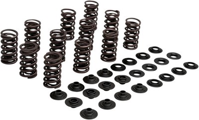 Gewichtsreduzierter Racing Ventilfedernsatz KIBBLEWHITE 80-81700