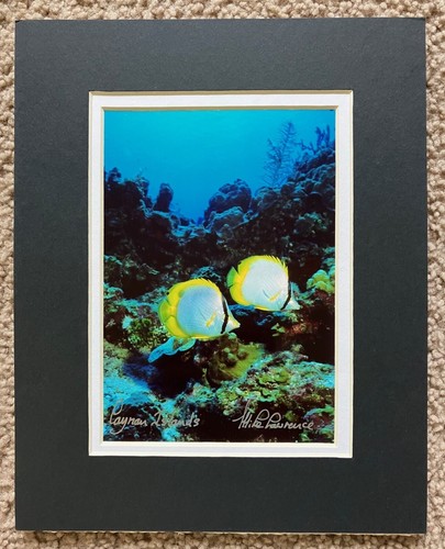 Mike Lawrence Cayman Islands Signed Photo Print Fish Sea Reef Art Matted
