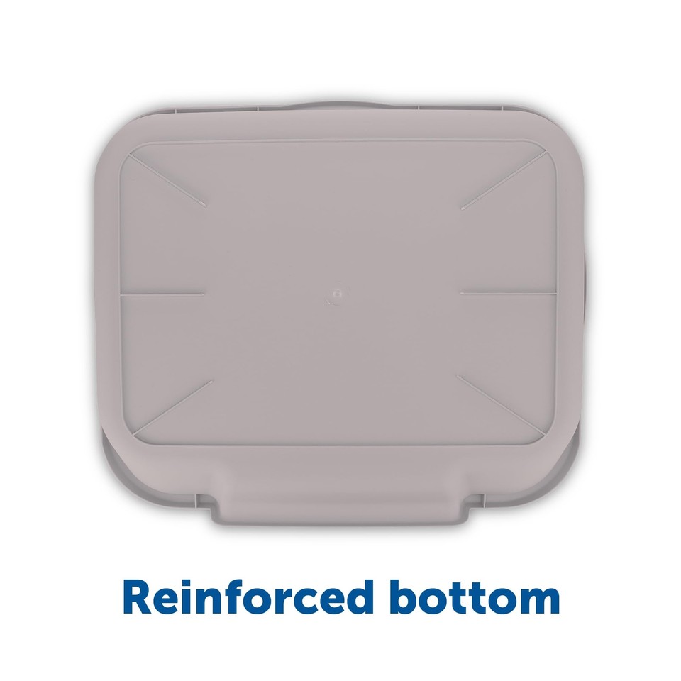 KittyGoHere Senior Cat Litter Box 1 Pack, Large Misty Gray Low Entrance