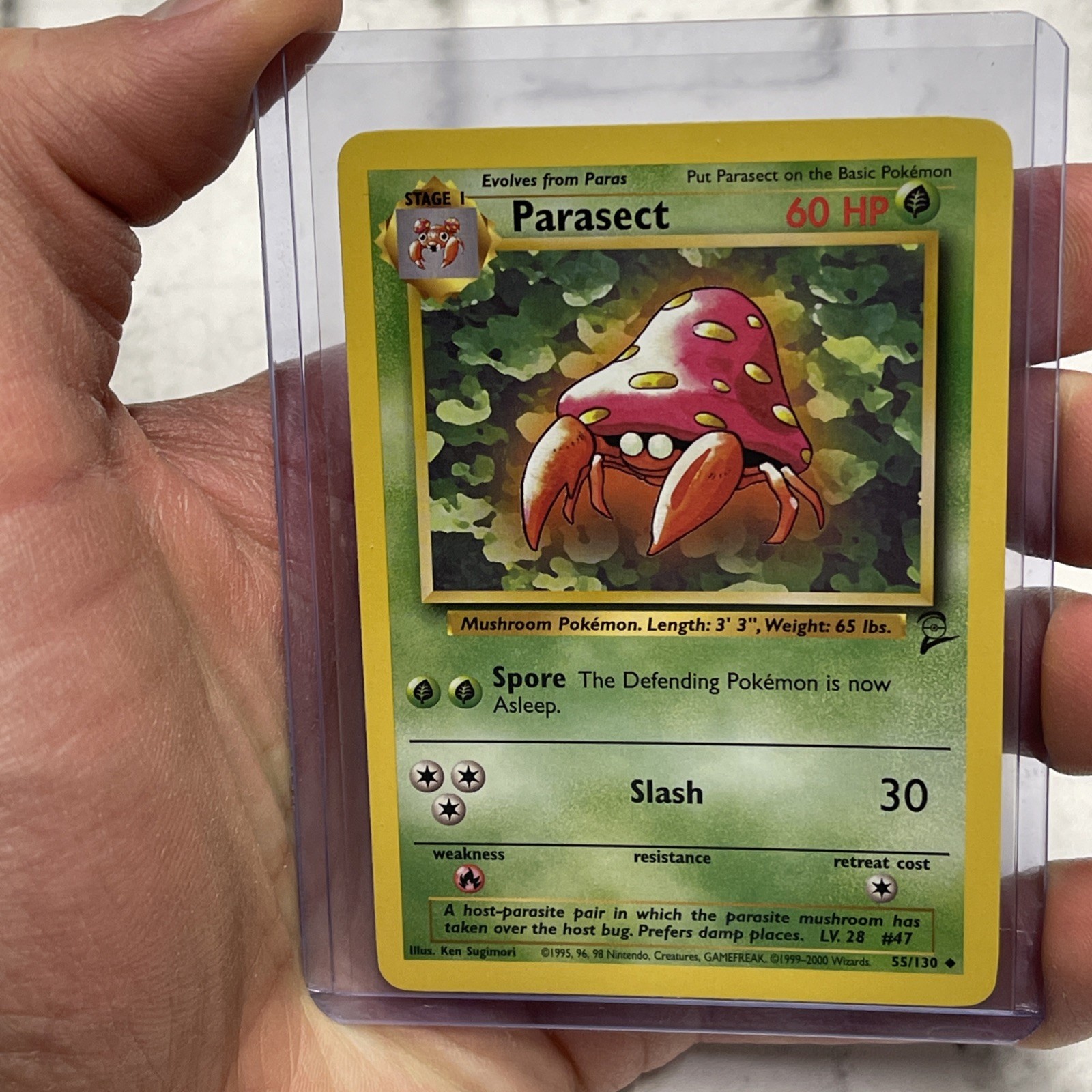 Pokemon Parasect 55/130 Base Set 2 Pokémon Card NM/MT Nintendo Uncommon Vintage