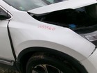 Foto 12 di 24