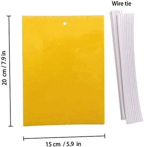 Doppelseitige Gelbe Klebefallen Im 20er-Pack Für Pilzmücken, Weiße Fliege, Blatt - Bild 8 von 14