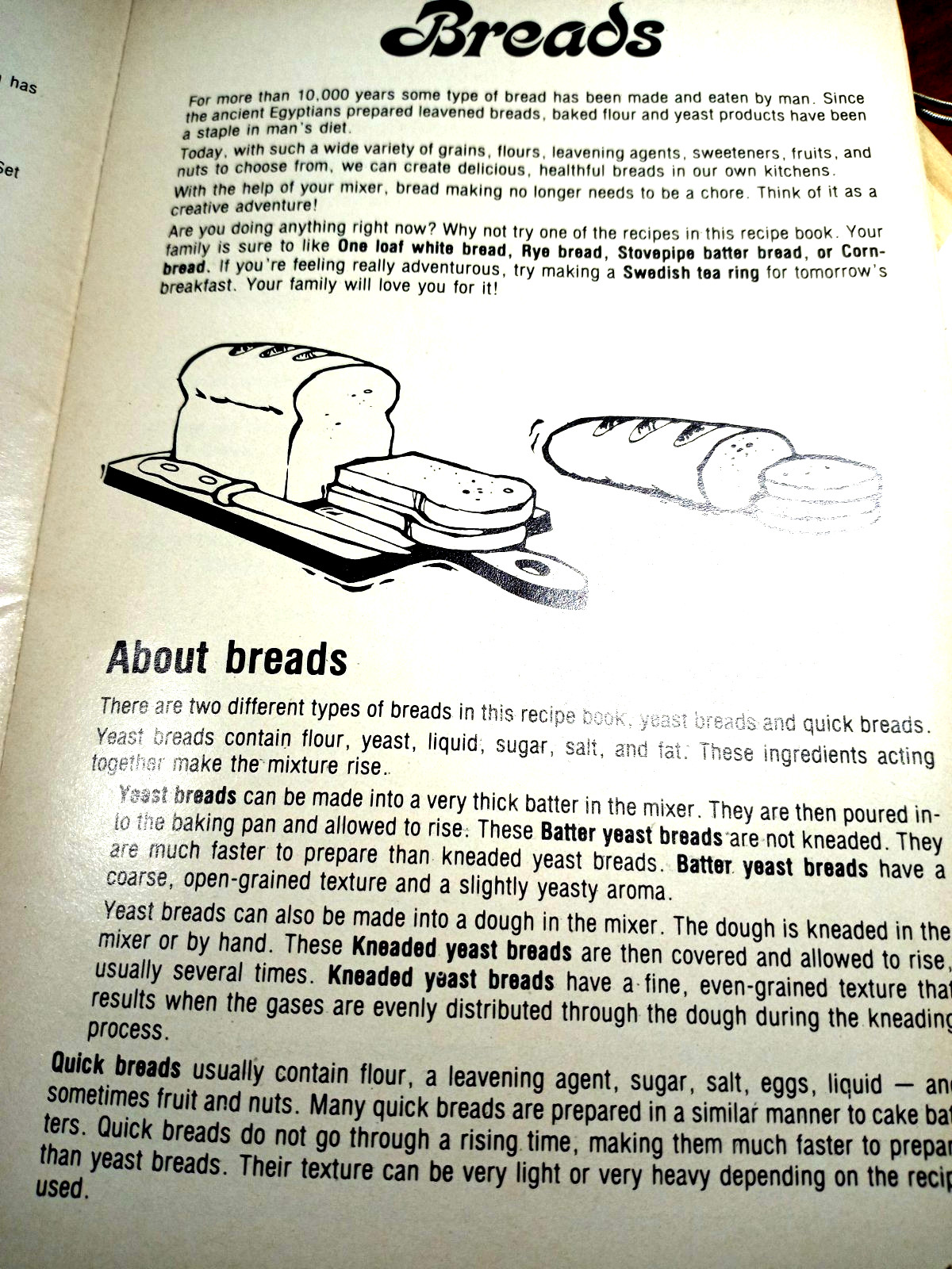 RARE VINTAGE 1981 SUNBEAM DELUXE MIXMASTER MIXER COOKBOOK RECIPES MANUAL 36