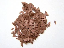 Plus Model 1/35 Dry Cherry Leaves Foliage (Laser cut Fried Paper) [Diorama] 281