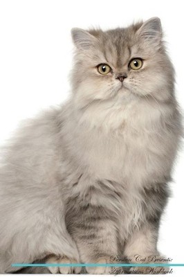 Persian Cat Affirmations Workbook Persian Cat Presents - 9781526973252