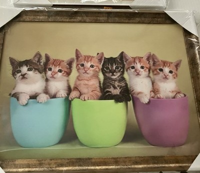 Framed 3D Hologram Cats 14x18 Plastic Wood Look Frame