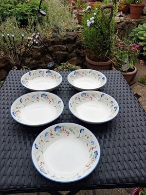 X5 Royal Doulton Expressions Windermere Muster 7'' Durchmesser Müsli-/Suppenschüsseln