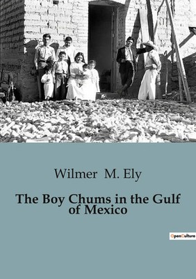 The Boy Chums in the Gulf of Mexico | Wilmer M. Ely | Taschenbuch | Englisch
