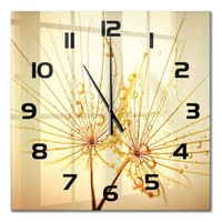 Glasuhr Glas-Wanduhr Ohne TickgeräUsche LöWenzahnsamen Schwarze Zeiger 60X60 Cm