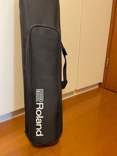 ROLAND AE-20 AEROPHONE Digital Wind Instrument Case Manual Audio Equipment