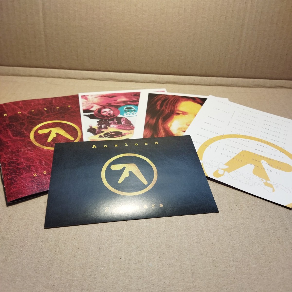 Aphex Twin - Analord 10 + Box [COPY #01] (Single) (Wooden