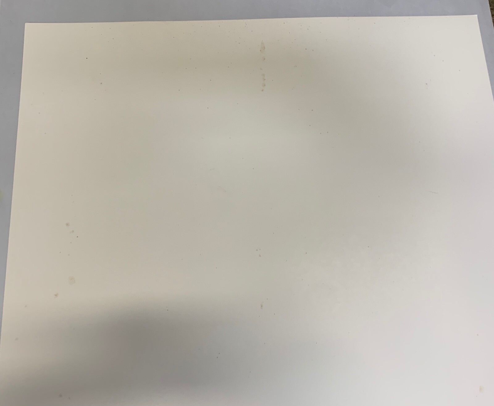 Picture 12 of 12