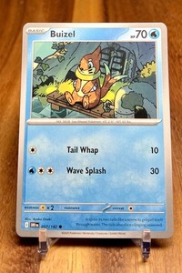Buizel Pokemon Card