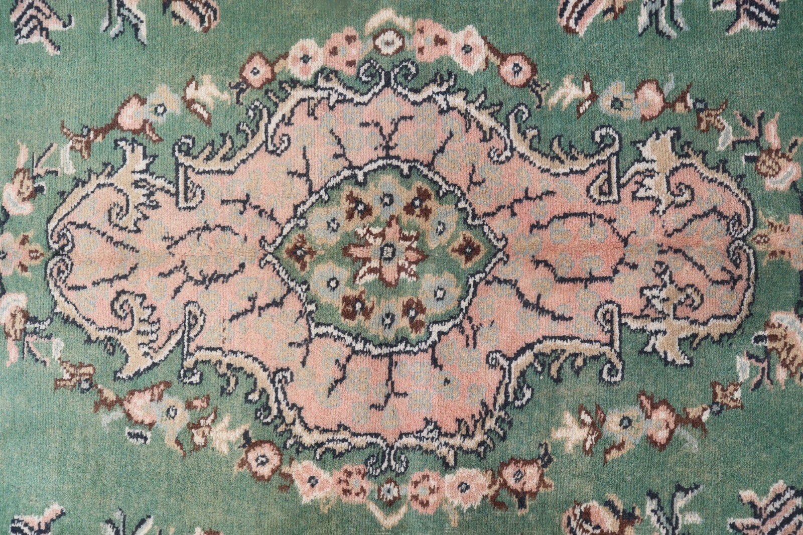 Picture 6 of 13
