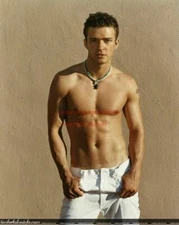 Hollywood Celebrity Art Poster JUSTIN TIMBERLAKE Poster 14 (20x30)