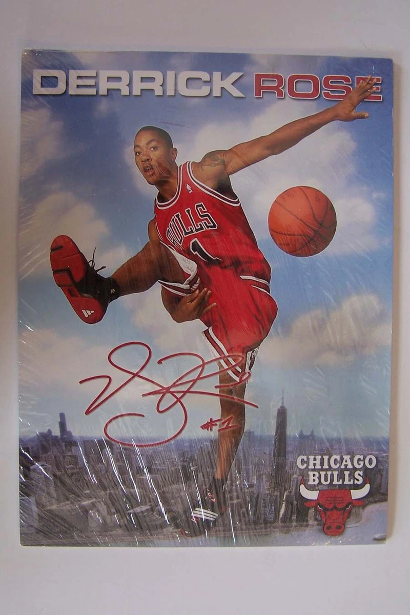 Chicago Bulls Derrick Rose NBA Hero Photo Paper Card 9