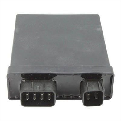 Wild Boar High Performance CDI IYA6032 249527