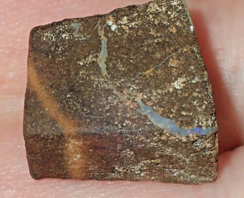 18mm Australian Boulder Wood Fossil natural Opal Stone Queensland, 27 ct., #4044 - Picture 1 of 6