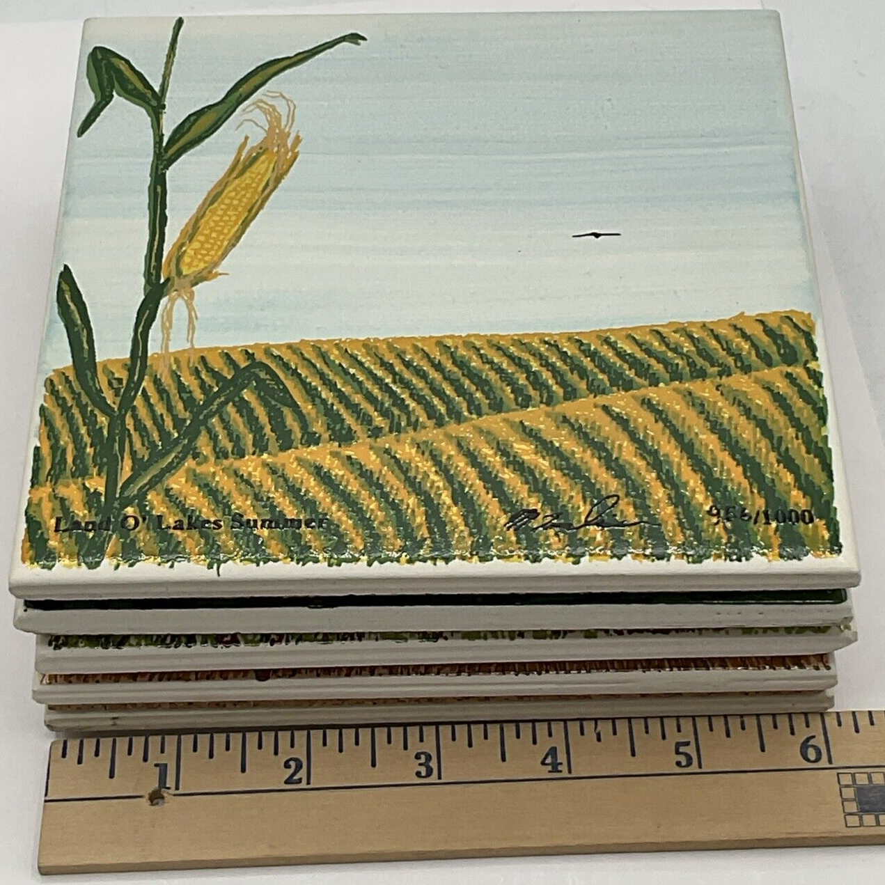 Picture 14 of 14