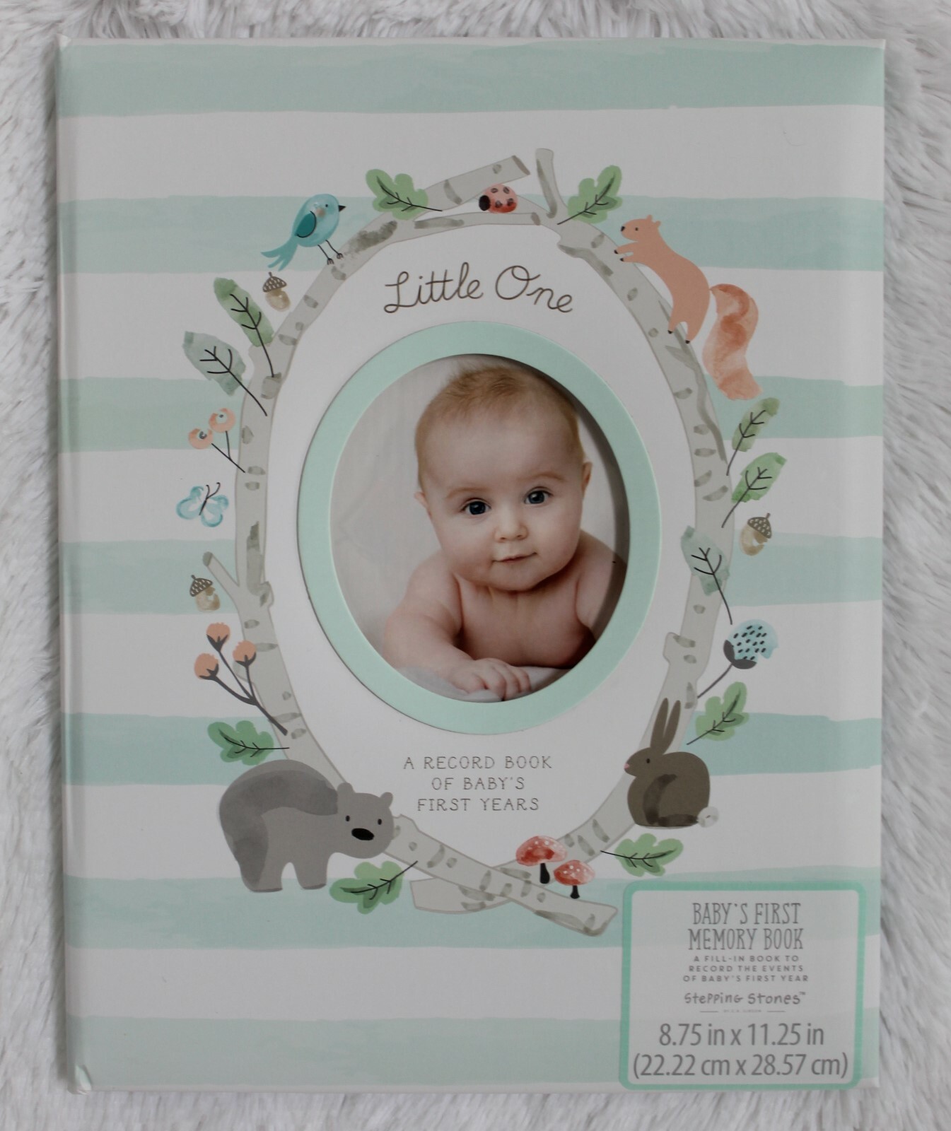 stepping stones baby's first memory book