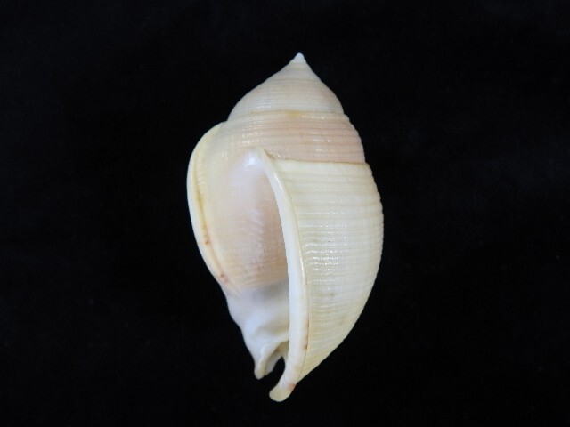 Picture 3 of 4