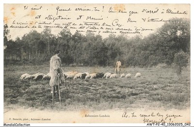 AWTP2-0093-40 - Wader Landais