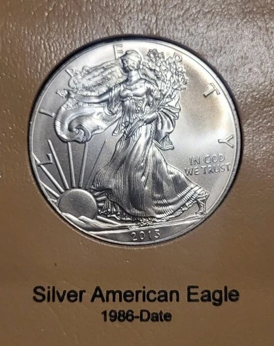 2013 American Silver Eagle 1 Troy Oz. .999 Fine One Dollar Coin BU Estate Sale