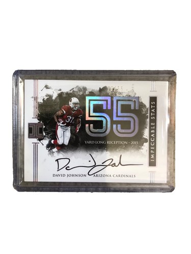 Steve Skelton Arizona Cardinals Tight End Custom Card With