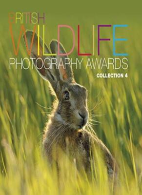 British Wildlife Photography Awards: Collection 4-AA Publishing