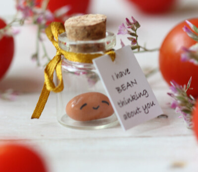Personalized Boyfriend Girlfriend Romantic Funny Miss You Gift Bean Vegan Gift 
