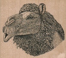 Camel Head 3 3/4 x 3 1/4" Rubber Stamp, Wildlife Stamp, Camel Stamp