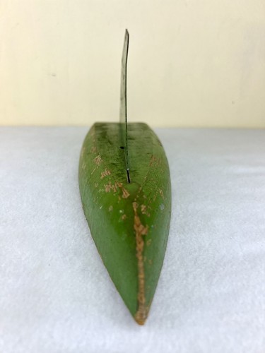 Vintage 1930's Handmade Wooden Sail Boat Green Paint Ideal Toy Company 15.75" - Picture 6 of 21