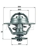 Thermostat Fiat 132