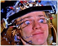 Clockwork Orange Malcolm McDowell Autographed 11x14 Photo w Quote ACOA Witness I
