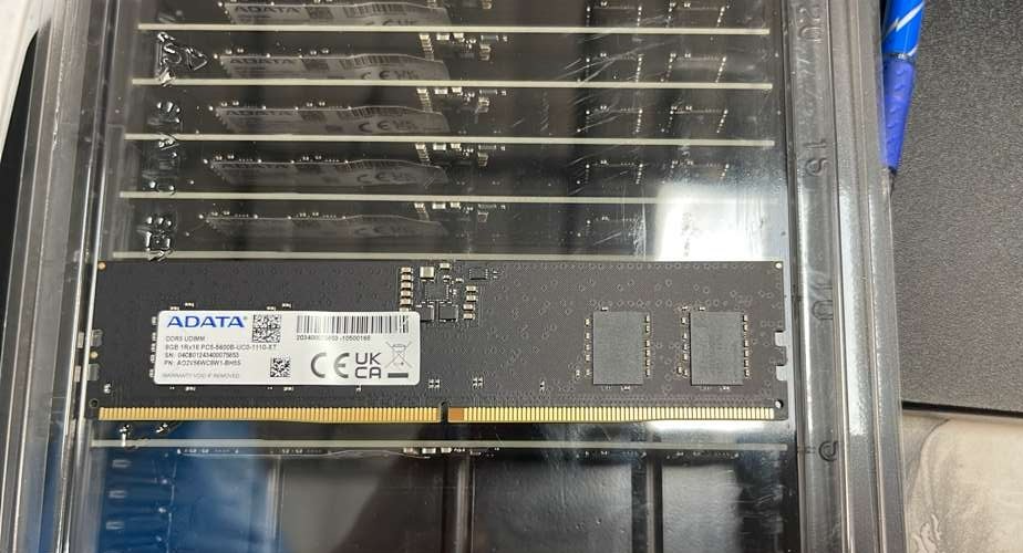 ADATA DDR5 5600 8GB Desktop Memory RAM AO2V56WC8W1-BH5S | eBay