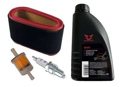Zündkerze +Filter +Öl SAE30 WM12,5 WM13,5 WM14 WM14,5 WM16 Efco Stiga BCPR5ES