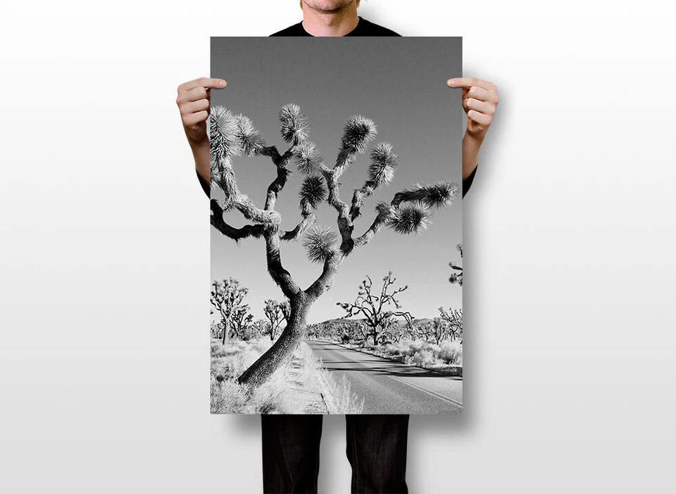 Desert Black And White Joshua Tree Landscape Print Wall Art Home - POSTER 20x30 - Image 3 of 3